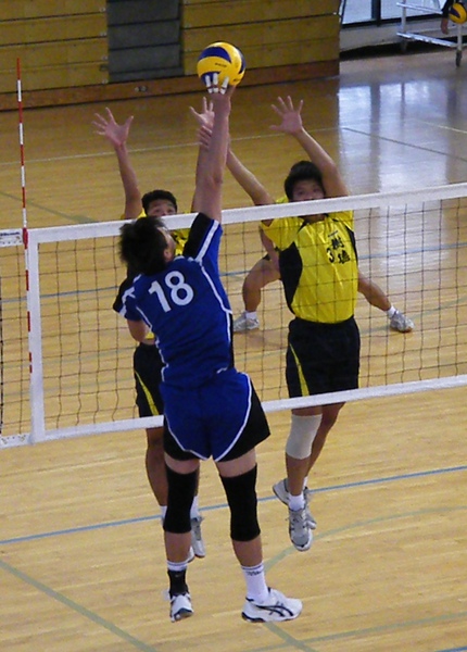 DSCF2768.JPG DSCF2768.JPG