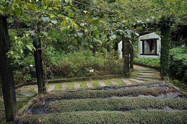 DSC00351.JPG DSC00351.JPG