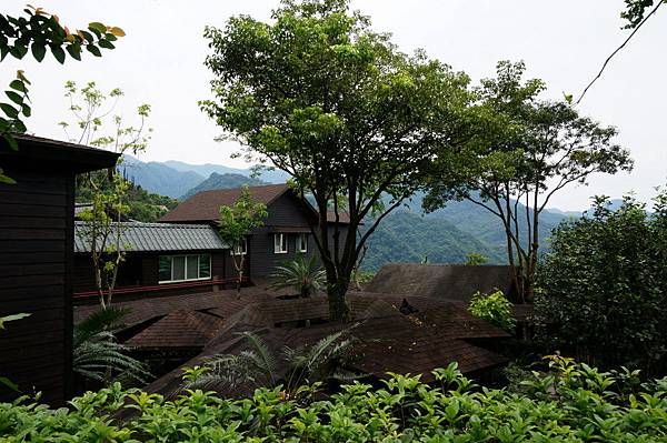 DSC00352.JPG DSC00352.JPG