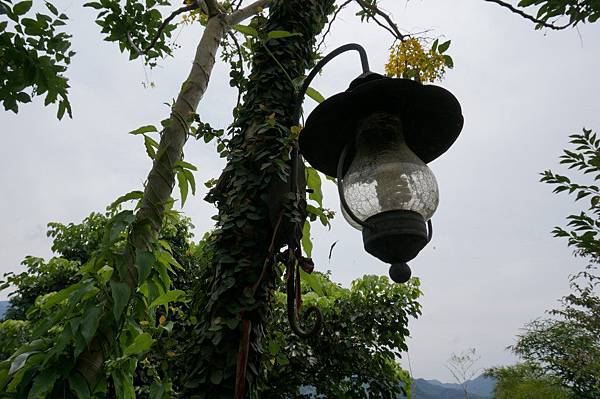 DSC00353.JPG DSC00353.JPG