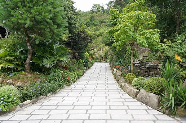 DSC00362.JPG DSC00362.JPG