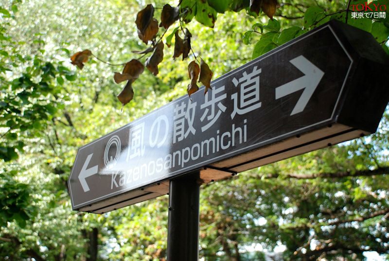 Day6_18.JPG Day6_18.JPG