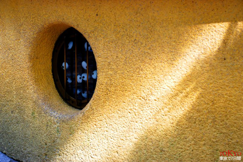 Day6_25.JPG Day6_25.JPG