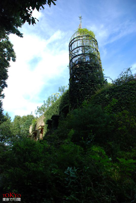 Day6_26.JPG Day6_26.JPG