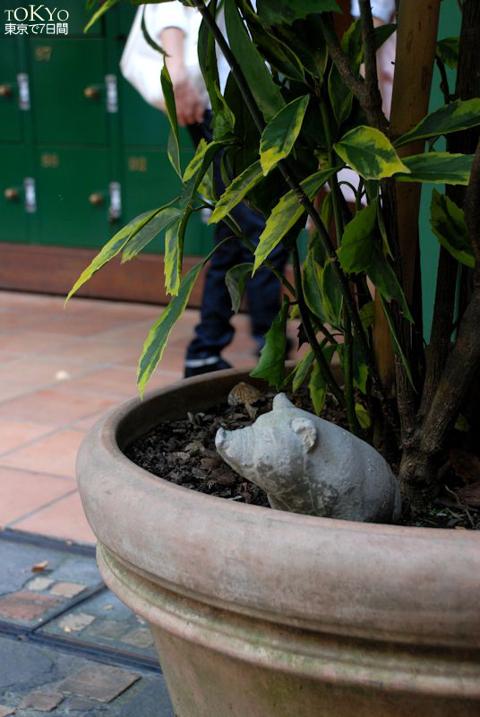 Day6_27.JPG Day6_27.JPG