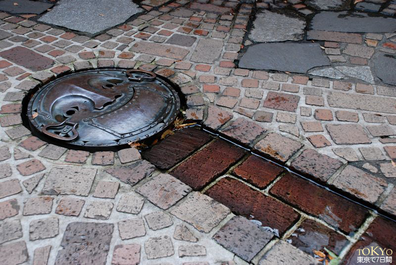 Day6_28.JPG Day6_28.JPG