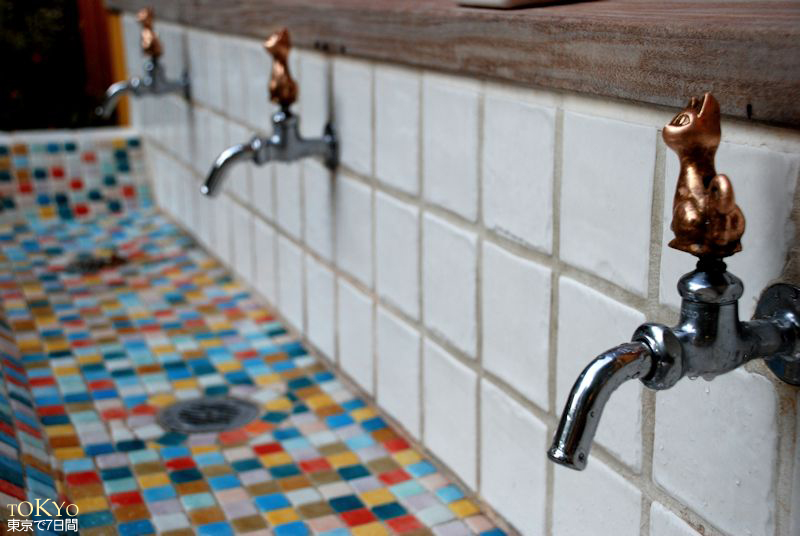 Day6_29.JPG Day6_29.JPG