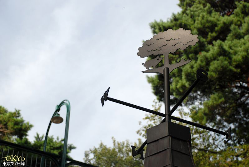 Day6_30.JPG Day6_30.JPG