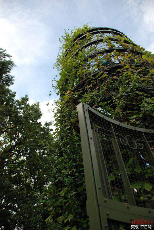 Day6_35.JPG Day6_35.JPG