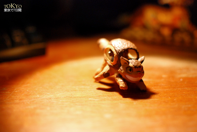 Day6_39-2.JPG Day6_39-2.JPG