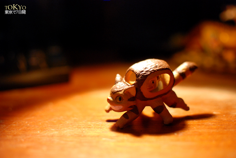 Day6_39-3.JPG Day6_39-3.JPG