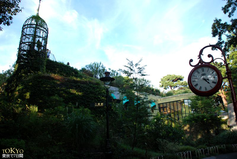 Day6_40.JPG Day6_40.JPG