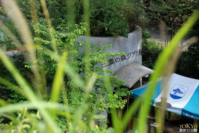 Day6_41.JPG Day6_41.JPG