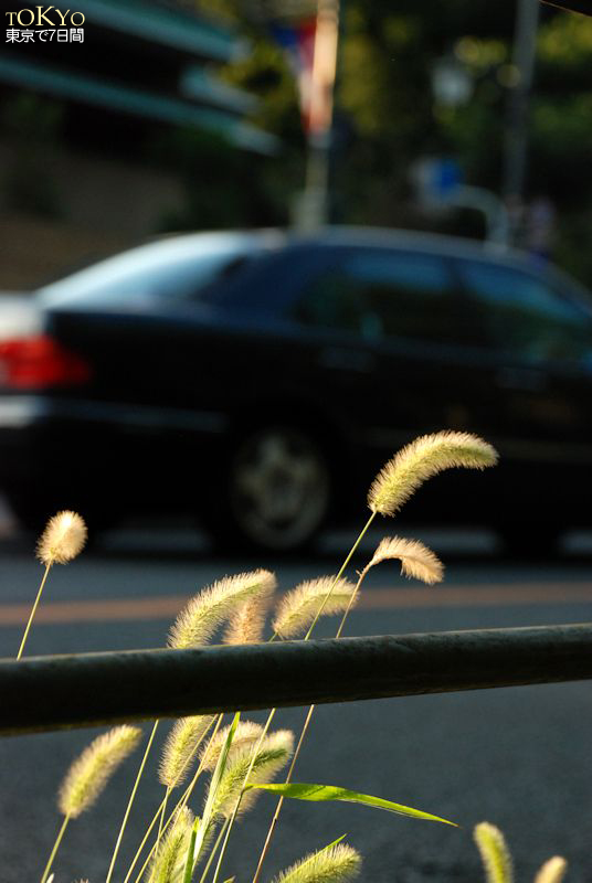 Day6_42.JPG Day6_42.JPG