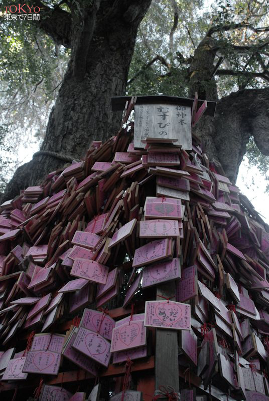 D5_52-3.JPG D5_52-3.JPG