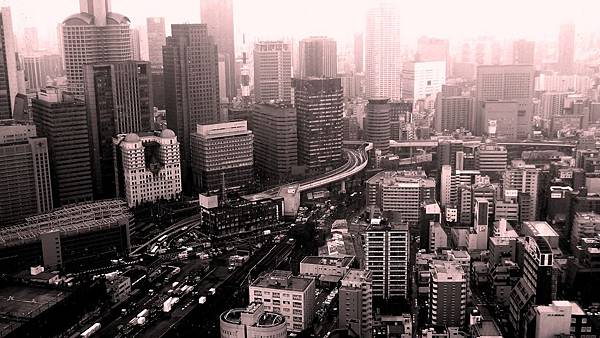 P1100308.JPG P1100308.JPG