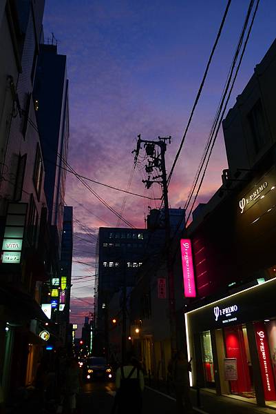 P1100377.JPG P1100377.JPG