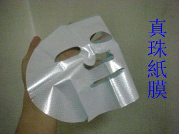 試用