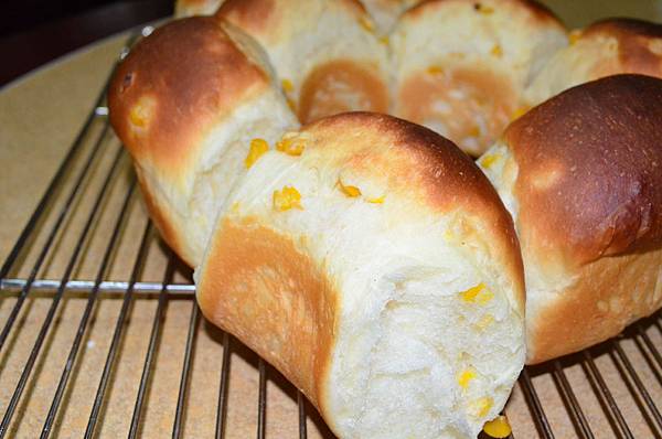 DSC_0112.JPG DSC_0112.JPG