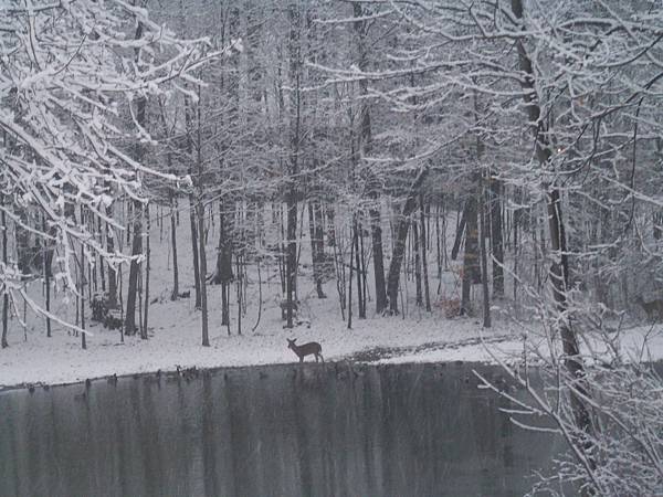 20120224 20120224
