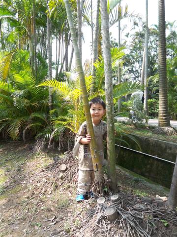 20090311-4 20090311-4