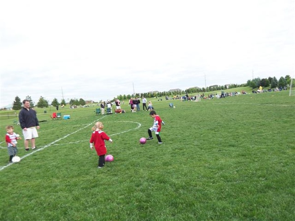 20090530-2 20090530-2