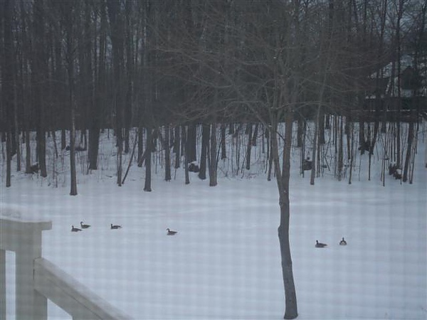 20110226 20110226