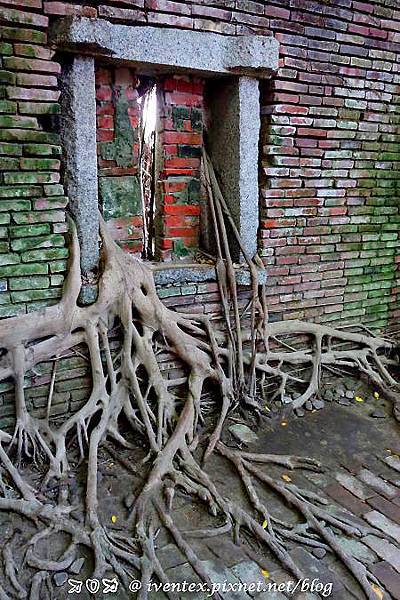 00_台南安平樹屋+德記洋行