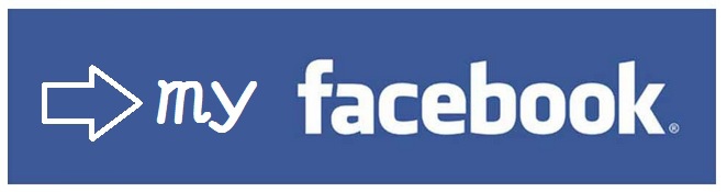 MIS網路賺錢投資