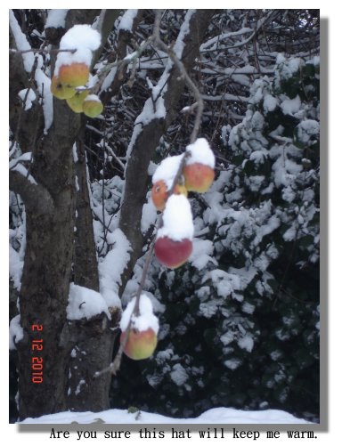 Are you sure this hat will keep me warm