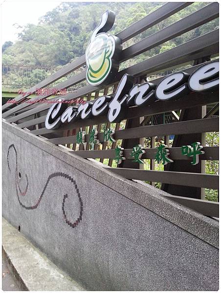 2014-11-08 16.31.24.jpg