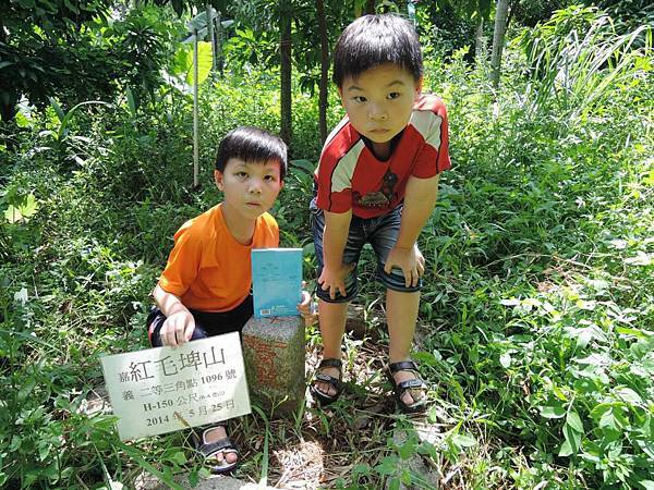 假日回嘉走小百岳&逛逛龜塔&再訪大王蓮