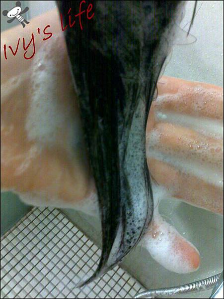 201411172071.jpg 201411172071.jpg