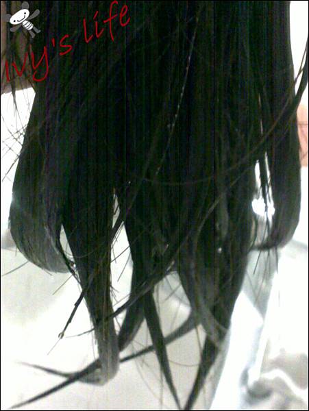 201411172079.jpg 201411172079.jpg