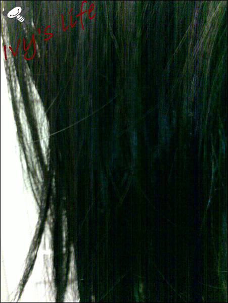 201411172082.jpg 201411172082.jpg