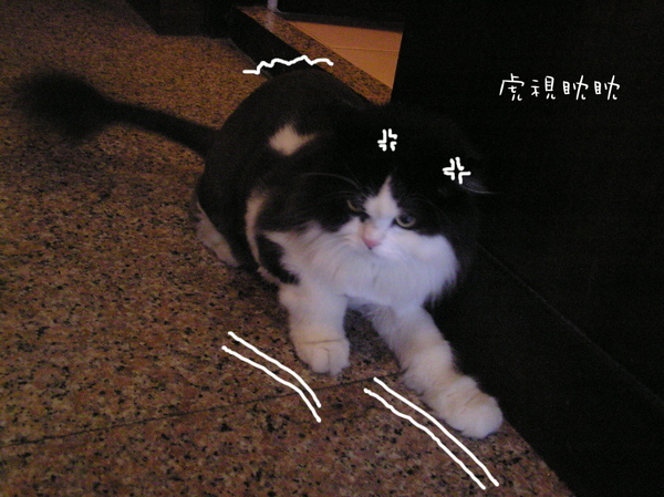 裝潢 (4).JPG 裝潢 (4).JPG