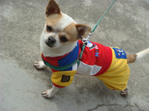 DSC04964_大小 .JPG DSC04964_大小 .JPG