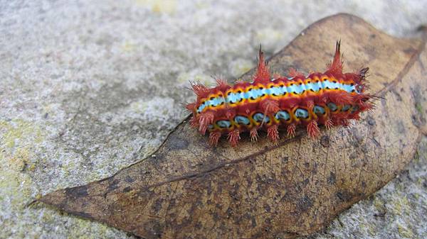 自然一自然二201206012 070 自然一自然二201206012 070