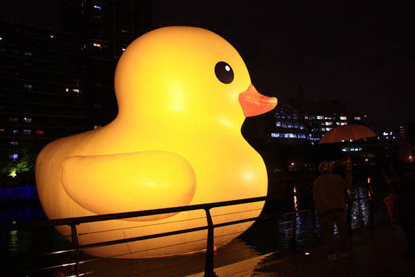 IMG_8656.JPG IMG_8656.JPG