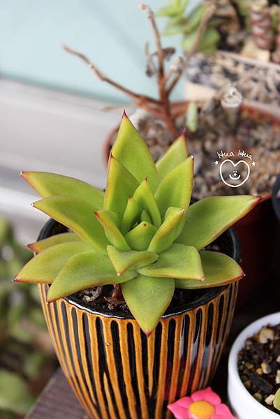 IMG_9280.JPG IMG_9280.JPG