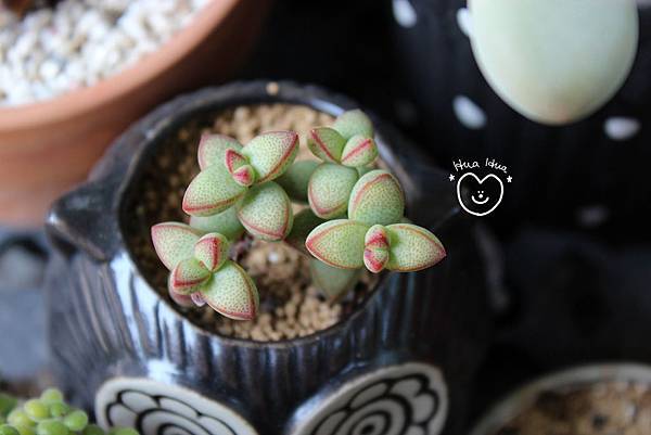 IMG_9282.JPG IMG_9282.JPG