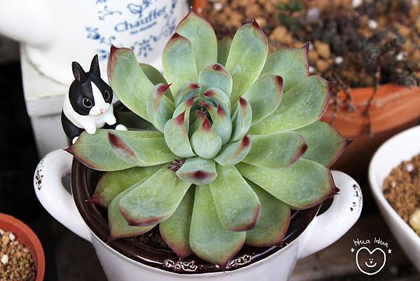 IMG_9284.JPG IMG_9284.JPG