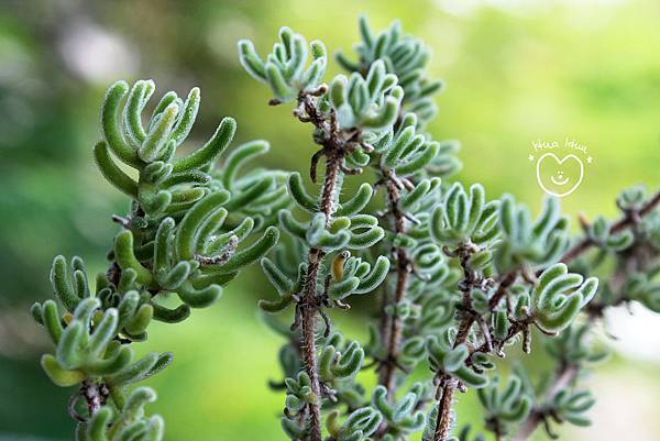 IMG_9287.JPG IMG_9287.JPG