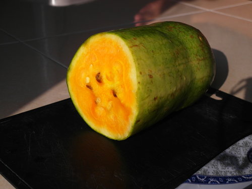 圖檔