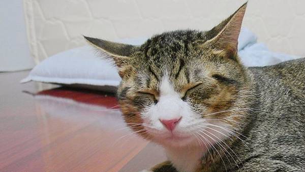 一色基地,推蛋入腹视频,我的世界炎黄和五歌真