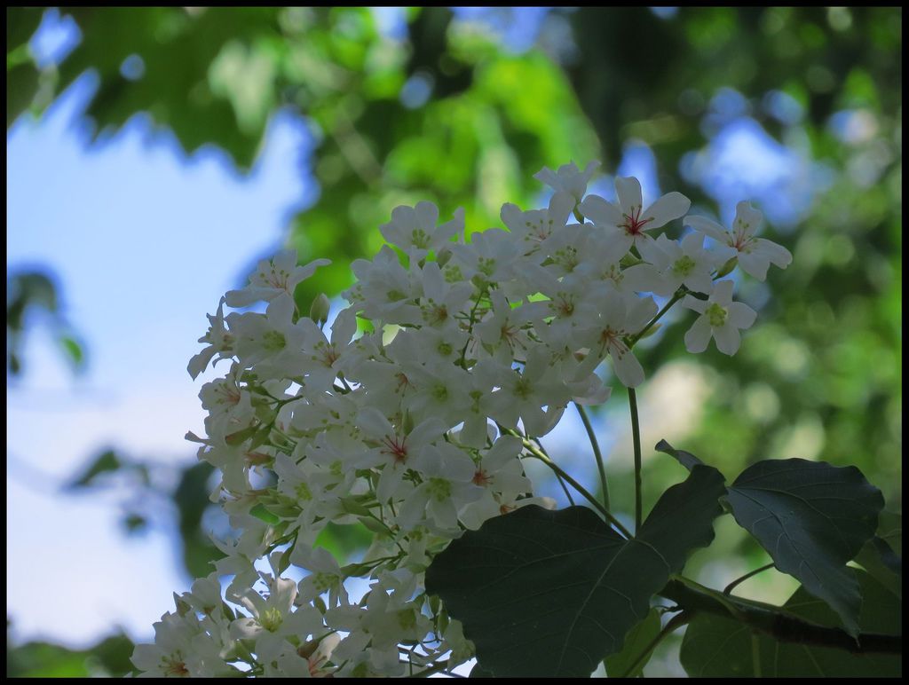 IMG_0798 IMG_0798