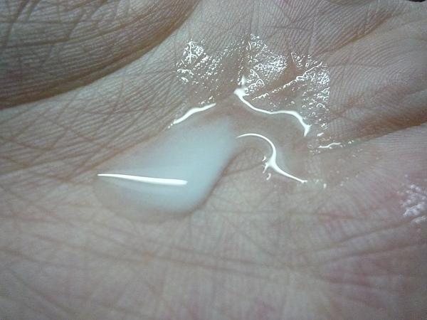 P1050604.JPG P1050604.JPG