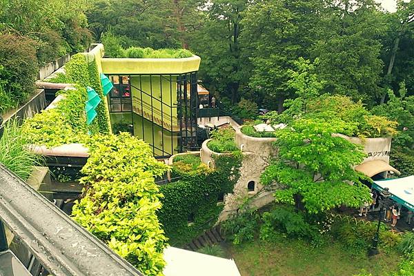 2013-05-20 13.34.48.jpg