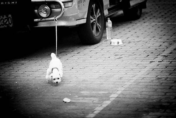IMG_0022.jpg IMG_0022.jpg