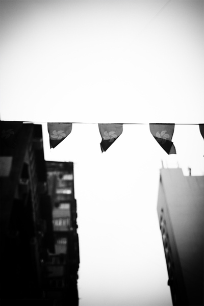 IMG_2725.jpg IMG_2725.jpg